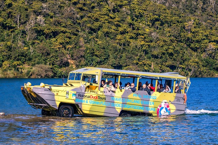 Experience the stunning lakes and lush landscapes of Rotorua aboard a unique WWII amphibious vehicle uncovering the region's rich history and natural beauty on this guided adventure.